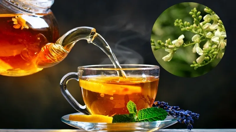 Nụ hoa hòe chứa hàm lượng hoạt chất rutin cao giúp tăng cường độ bền vững cho mao mạch.