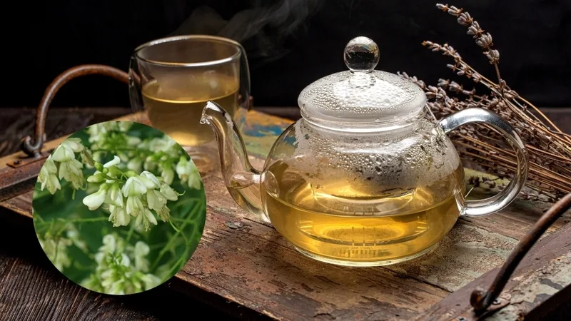Trà hoa hòe là thức uống dưỡng sinh được nhiều người yêu thích nhờ công dụng thanh nhiệt và giải độc.
