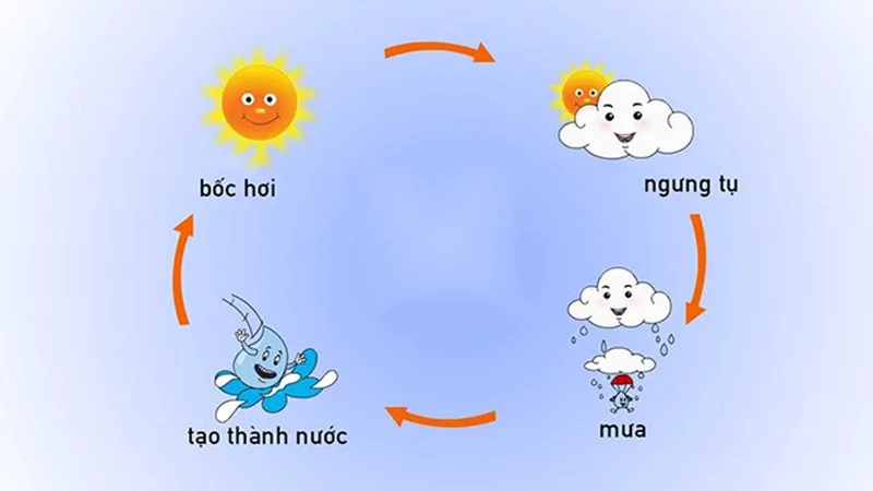 Bản tin tổng hợp mô phỏng chu trình ba giai đoạn: Bốc hơi, ngưng tụ và kết tủa của nước.